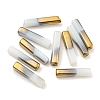 Electroplate Glass Beads X-GLAA-D024-02G-2