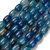 Natural Dragon Veins Agate Beads Strands G-D317-A01-04-2