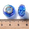 Shell Transparent Brass Cores Acrylic European Beads OACR-M024-08S-06-3