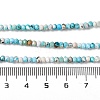 Natural Howlite Beads Strands G-H025-03B-05-5