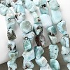 Natural Larimar Beads Strands G-P601-A20-02-1