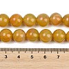 Handmade Lampwork Beads Strand LAMP-B056-10mm-04-5