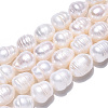 Natural Cultured Freshwater Pearl Beads Strands PEAR-N012-10D-4