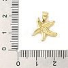 Starfish Rack Plating Brass Charms KK-U027-36G-3