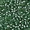 Silver Lined Glass Seed Beads SEED-T007-18A-06-3