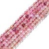 Natural Agate Beads Strands G-Q1000-02D-1