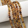 Natural Amber Beads Strands G-L095-B01-5mm-04-1