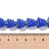 Handmade Lampwork Beads Strands LAMP-Q036-05F-4