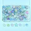 Mixed Styles Acrylic Bead Caps OACR-FS0002-51A-7