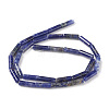 Natural Sodalite Beads Strands G-F247-30-2