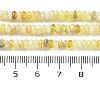 Natural Yellow Opal Beads Strands G-K343-C30-01-5