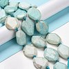 Natural Amazonite Beads Strands G-P319-22-5