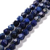 Faceted Natural Gemstone Lapis Lazuli Bead Strands G-J331-25-8mm-01-1