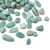 Natural Amazonite Chip Beads G-M364-04B-2