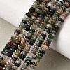Natural Indian Agate Beads Strands G-N0173-04-2x4mm-8