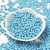 Baking Paint Glass Seed Beads SEED-B001-02A-12-2
