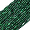 Dyed Synthetic Turquoise Beads Strands G-D356-B02-01-2