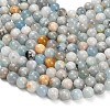 Natural Aquamarine Beads Strands X-G-F591-29B-10mm-01-4