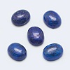 Natural Lapis Lazuli Cabochons X-G-G759-Z19-1
