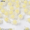 30Pcs Transparent Acrylic Beads TACR-YW0002-37A-1