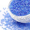 8/0 Grade A Round Glass Seed Beads SEED-Q010-3mm-F543-1