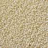 MIYUKI Round Rocailles Beads SEED-X0055-RR0577-3
