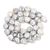 Natural Howlite Beads Strands G-B125-O01-01-3