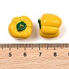 Opaque Resin Imitation Vegetable Beads RE-CBAC4C7-01A-3