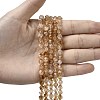 Heated Natural Citrine Beads Strands G-Z119-A37-01-2
