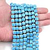 Natural Howlite Beads Strands G-C025-01B-2