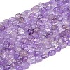 Natural Lavender Amethyst Beads Strands G-Q060-E16-2