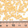 8/0 Opaque Glass Seed Beads SEED-S048-N-018-4