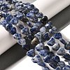 Natural Blue Spot Jasper Beads Strands G-R190-10mm-62-1