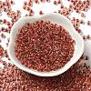 6/0 Transparent Inside Colours Glass Seed Beads SEED-P006-01A-05-2