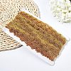 Metallic Lace Trim OCOR-WH0058-01G-6