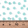 6/0 Transparent Inside Colours Glass Seed Beads SEED-N008-08G-4