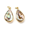 Natural Paua Shell & Epoxy Resin Pendants KK-E794-02G-02-1