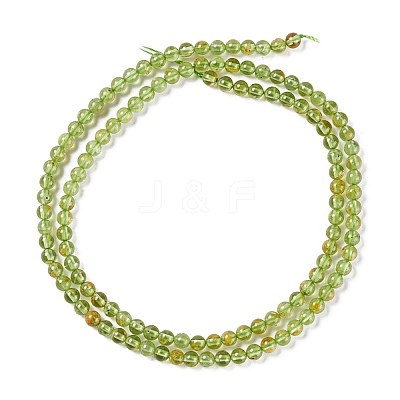 Natural Peridot Beads Strands G-K313-B01-02-1