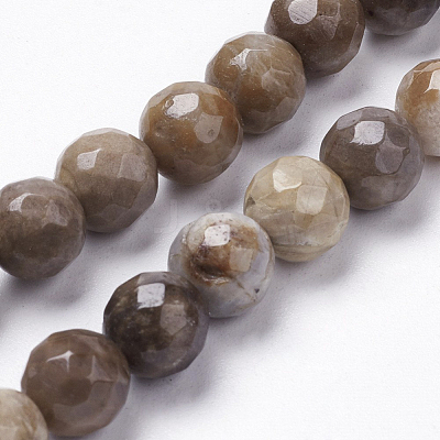 Natural Silver Leaf Jasper Beads Strands G-K181-10mm-O01-1