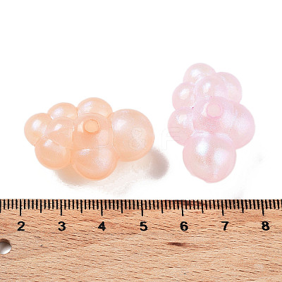 Transparent Acrylic Beads X-OACR-Z013-02B-1