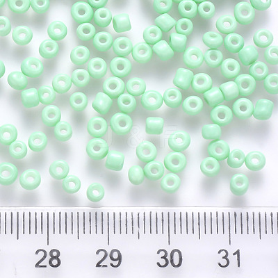 6/0 Baking Paint Glass Round Seed Beads SEED-S036-01C-02-1