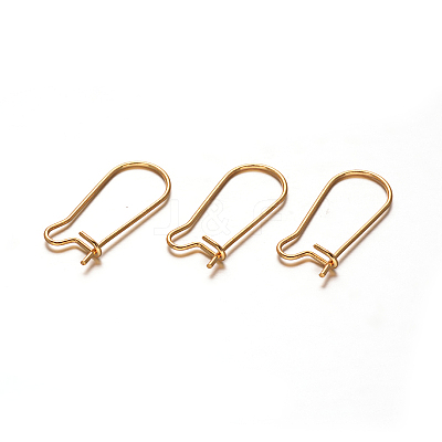 304 Stainless Steel Hoop Earrings STAS-D111-47-1