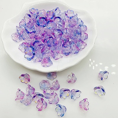 Handmade Lampwork Beads LAMP-CJC0008-16F-1