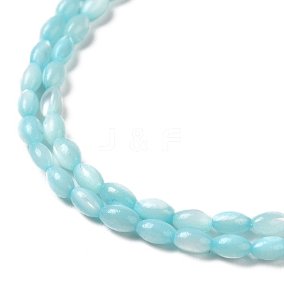 Natural Trochus Shell Beads Strands SHEL-K006-19D-1
