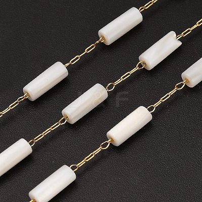 Handmade 304 Stainless Steel Shell Beads Column Link Chains CHS-B011-06G-1