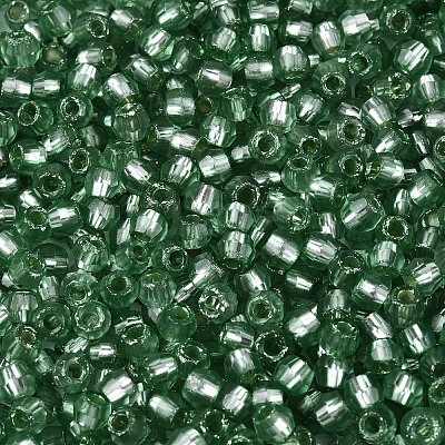 Silver Lined Glass Seed Beads SEED-T007-18A-06-1