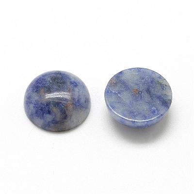 Natural Blue Spot Jasper Cabochons G-R416-16mm-45-1