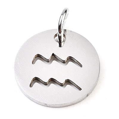 Non-Tarnish 201 Stainless Steel Charms STAS-Q237-M003-5-1