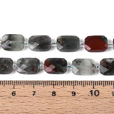 Natural Africa Bloodstone Beads Strands G-T139-87-1