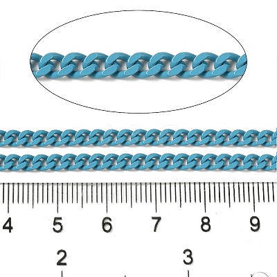 Spray Painted 304 Stainless Steel Curb Chains STAS-B067-05B-06-1